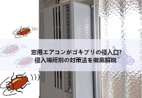 窓用エアコンがゴキブリの侵入口？侵入場所別の対策法を徹底解説